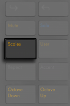 Scales Button.